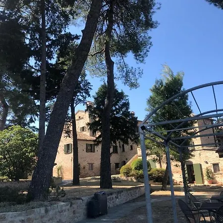 Oliva * Pesaro