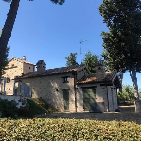 Oliva * Pesaro
