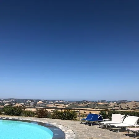 Oliva * Pesaro