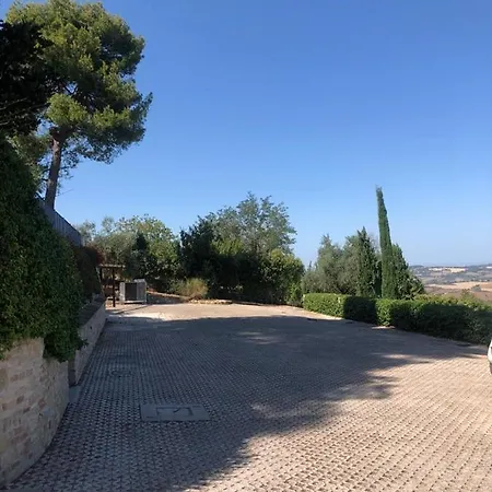 Oliva * Pesaro