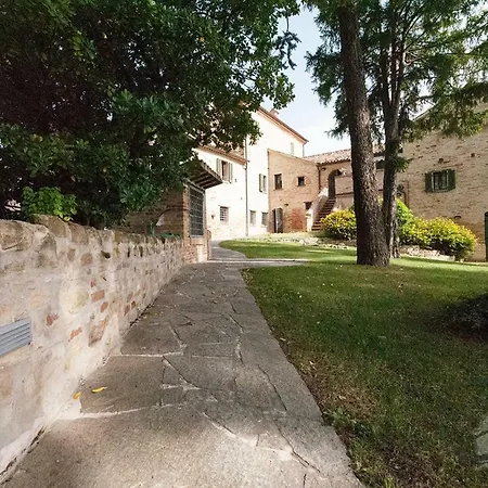 Oliva